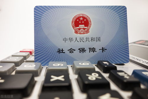 社保查詢方法與中斷影響詳解——社會(huì)經(jīng)濟(jì)咨詢服務(wù)指南