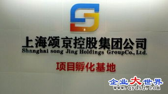 頌京控股集團旗下網(wǎng)絡(luò)科技公司 立足上海，引領(lǐng)數(shù)字化服務(wù)新浪潮