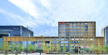 三業(yè)協(xié)同 上海網(wǎng)絡(luò)技術(shù)服務(wù)產(chǎn)業(yè)園的運營競爭力打造之道